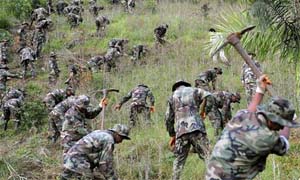 Боливийские солдаты уничтожают посадки коки